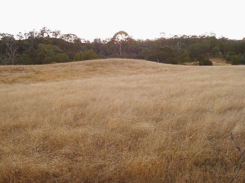 Lot 2, 500 Baskerville Road, Old Beach TAS 7017