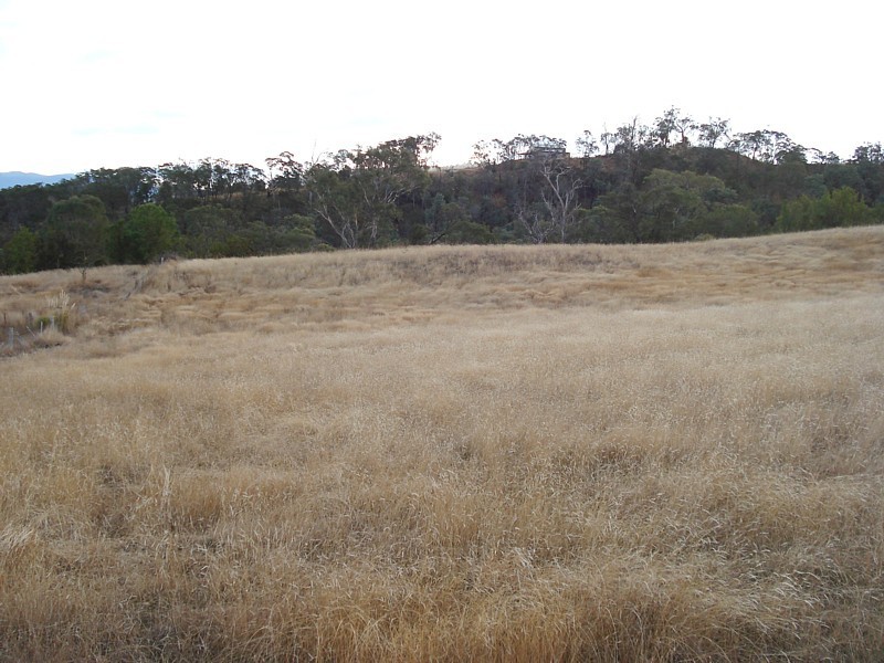 Lot 2, 500 Baskerville Road, Old Beach TAS 7017