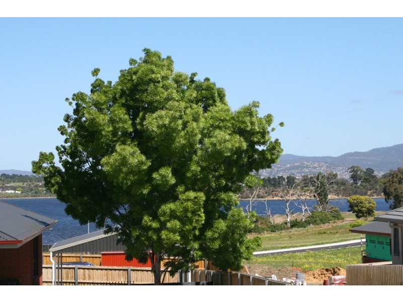 65 Churinga Waters Drive, Old Beach TAS 7017