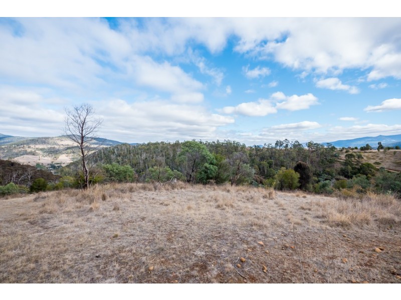 0 Ironstone Gully Road, Lachlan TAS 7140