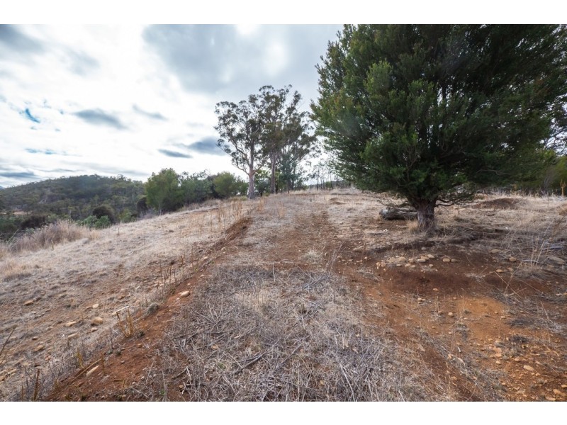 0 Ironstone Gully Road, Lachlan TAS 7140