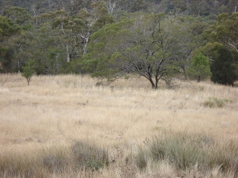 Lot 11, 500 Baskerville Road, Old Beach TAS 7017