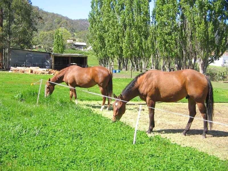 609 Back River Road, Magra TAS 7140