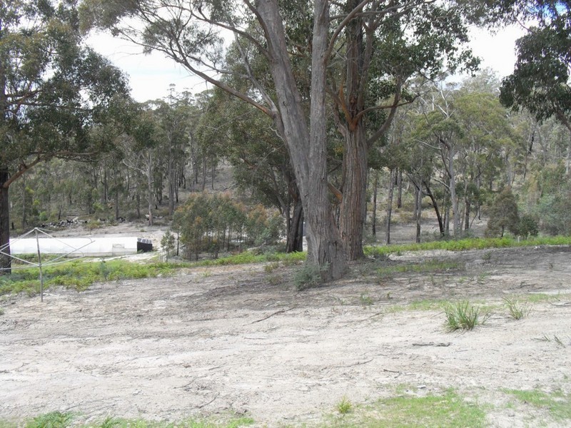 98 Cornishs Road, Elderslie TAS 7030