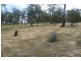 29 Bernacchi Drive, Orford TAS 7190