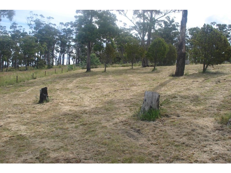 29 Bernacchi Drive, Orford TAS 7190