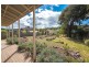 37 Swan Street, Bagdad TAS 7030