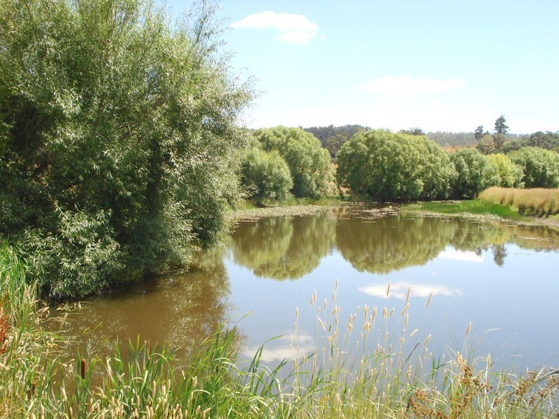 335 Clifton Vale Road, Elderslie TAS 7030