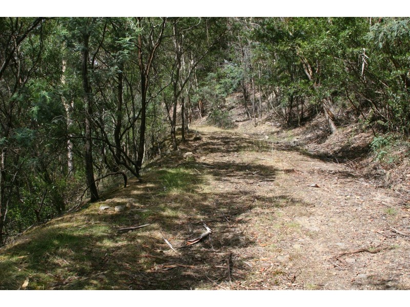 239 Black Snake Road, Granton TAS 7030