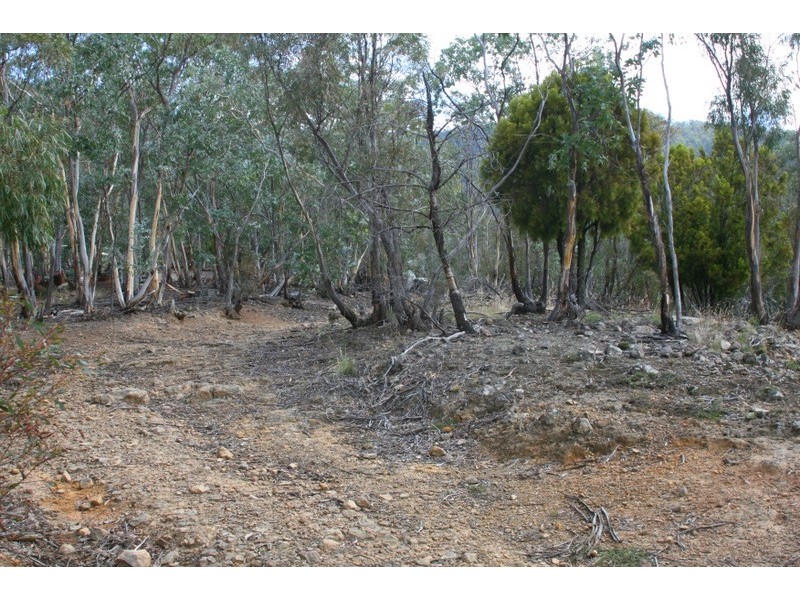 239 Black Snake Road, Granton TAS 7030