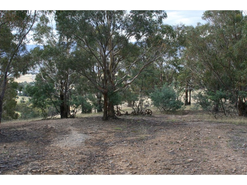 239 Black Snake Road, Granton TAS 7030