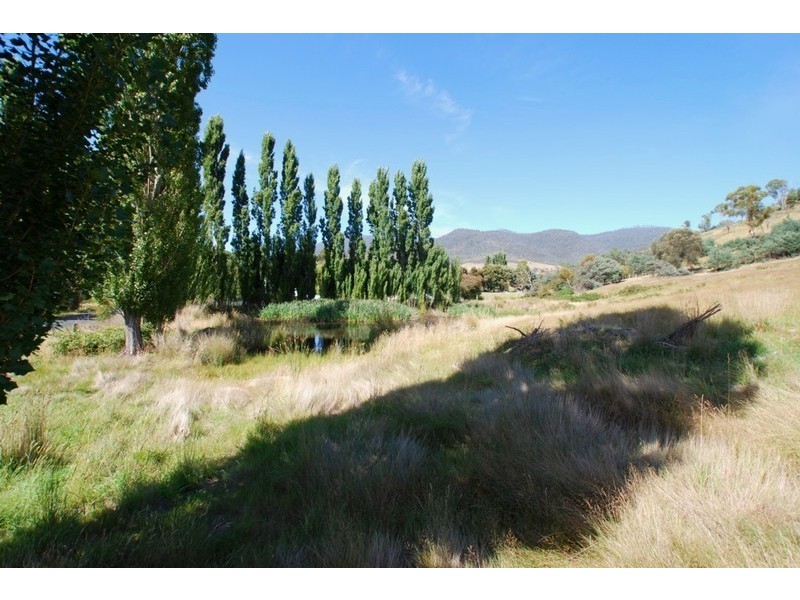 1223 Elderslie Road, Broadmarsh TAS 7030