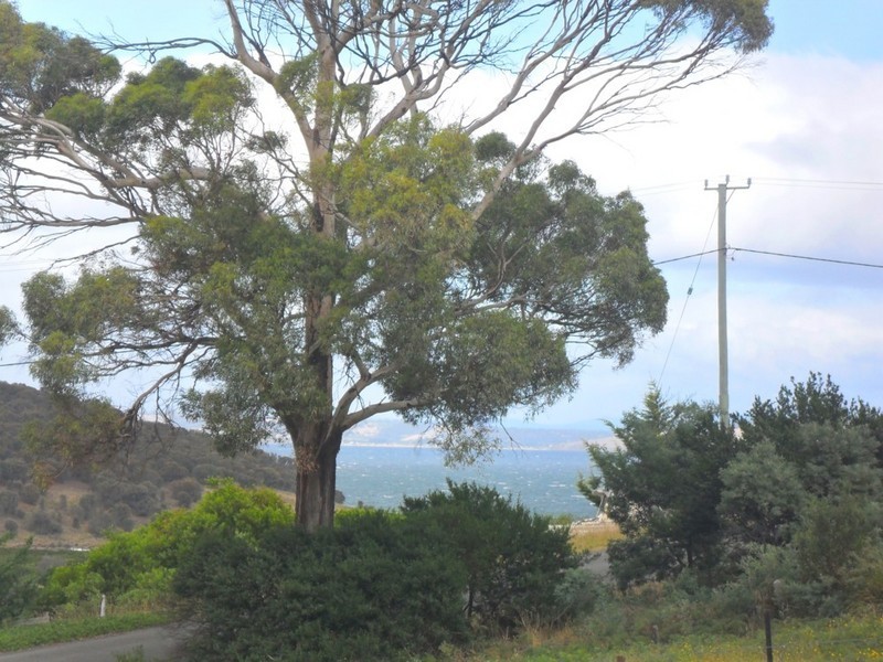32 Riviera Drive, Carlton TAS 7173
