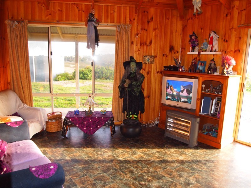 158 Old Forcett Road, Forcett TAS 7173