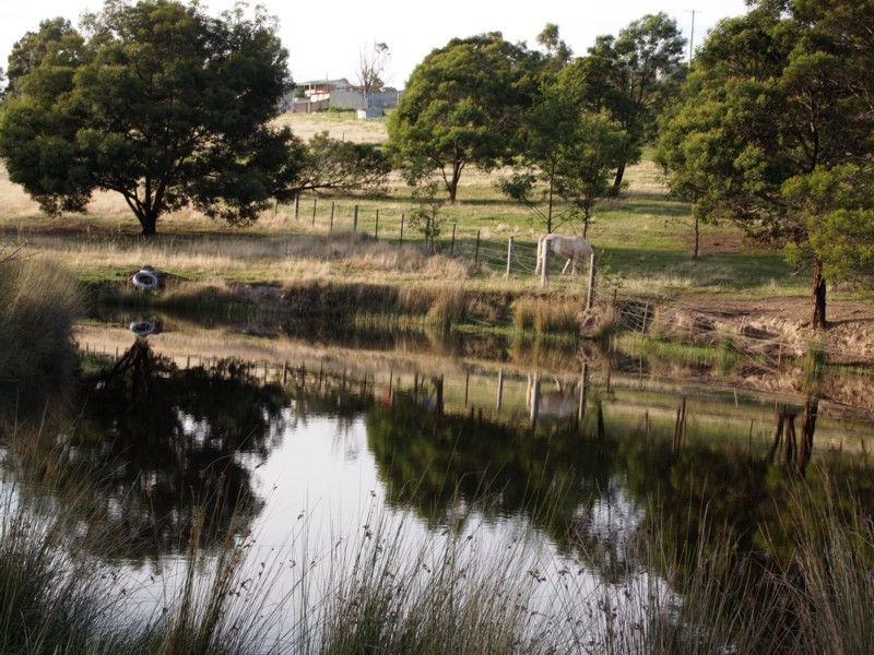 158 Old Forcett Road, Forcett TAS 7173