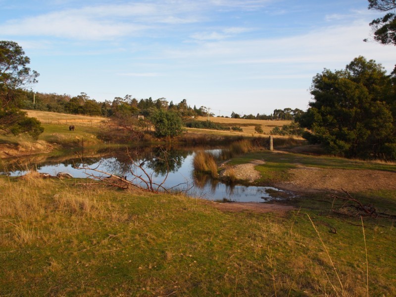 158 Old Forcett Road, Forcett TAS 7173