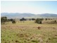 324 Tea Tree Road, Brighton TAS 7030