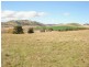 324 Tea Tree Road, Brighton TAS 7030
