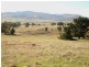 324 Tea Tree Road, Brighton TAS 7030