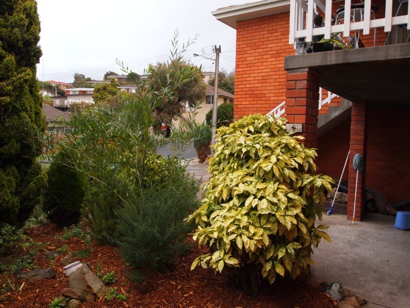 3 Nelis Court, Lutana TAS 7009