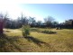 5 Alexander Street, Bothwell TAS 7030