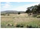 37 Kathleen Drive, Old Beach TAS 7017