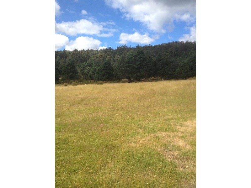 409 Jefferys Track, Lachlan TAS 7140