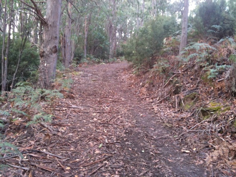 409 Jefferys Track, Lachlan TAS 7140