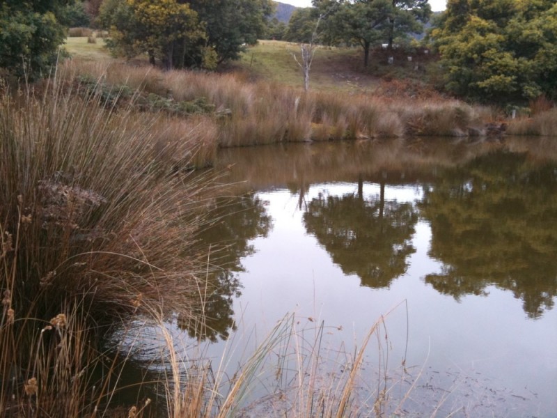 409 Jefferys Track, Lachlan TAS 7140