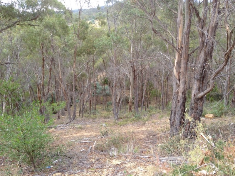 0 East Bagdad Road, Bagdad TAS 7030