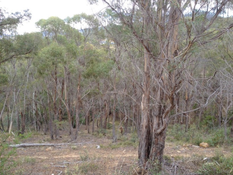 0 East Bagdad Road, Bagdad TAS 7030