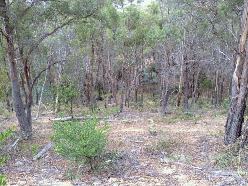 0 East Bagdad Road, Bagdad TAS 7030