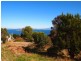 6 Ash Street, Primrose Sands TAS 7173