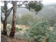 173 Church Road, Dromedary TAS 7030