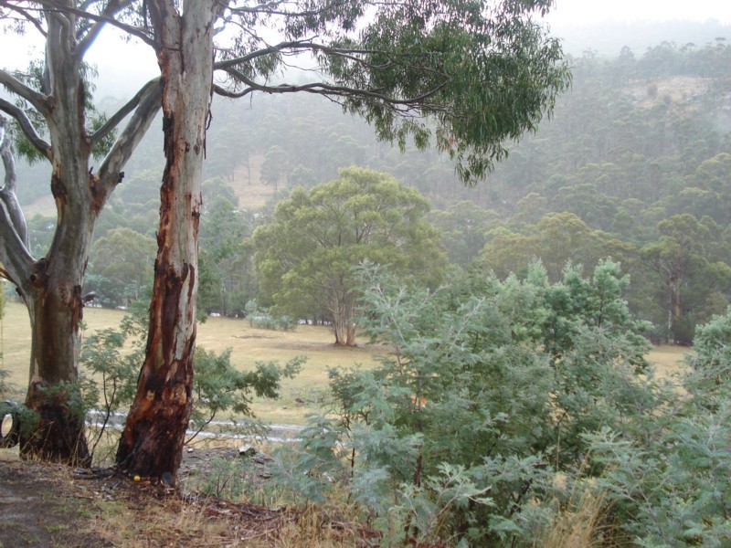 173 Church Road, Dromedary TAS 7030