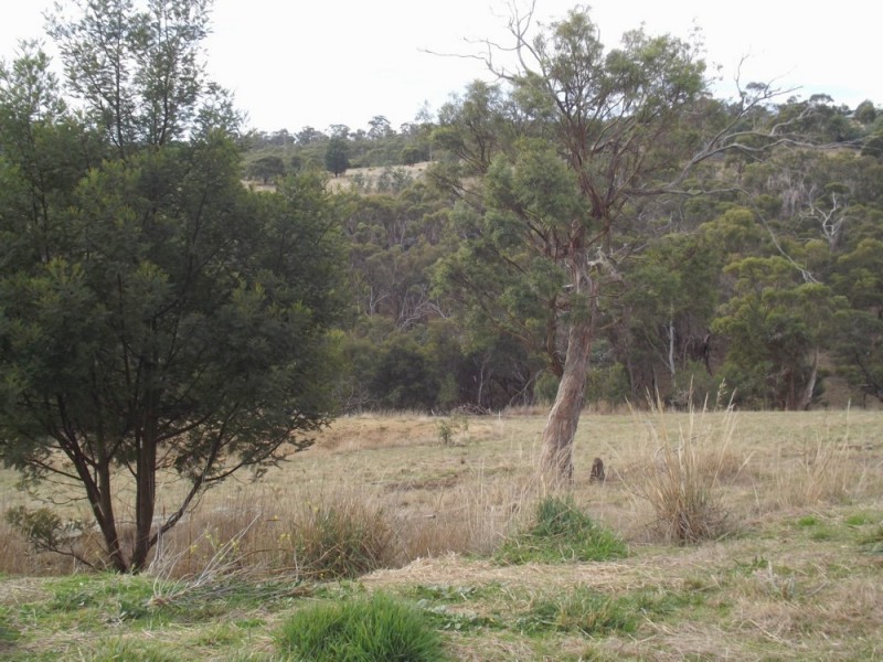 89 Honeywood Drive, Honeywood TAS 7017