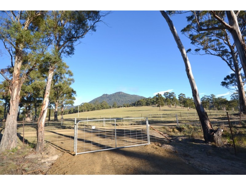 138 Clarks Road, Dromedary TAS 7030