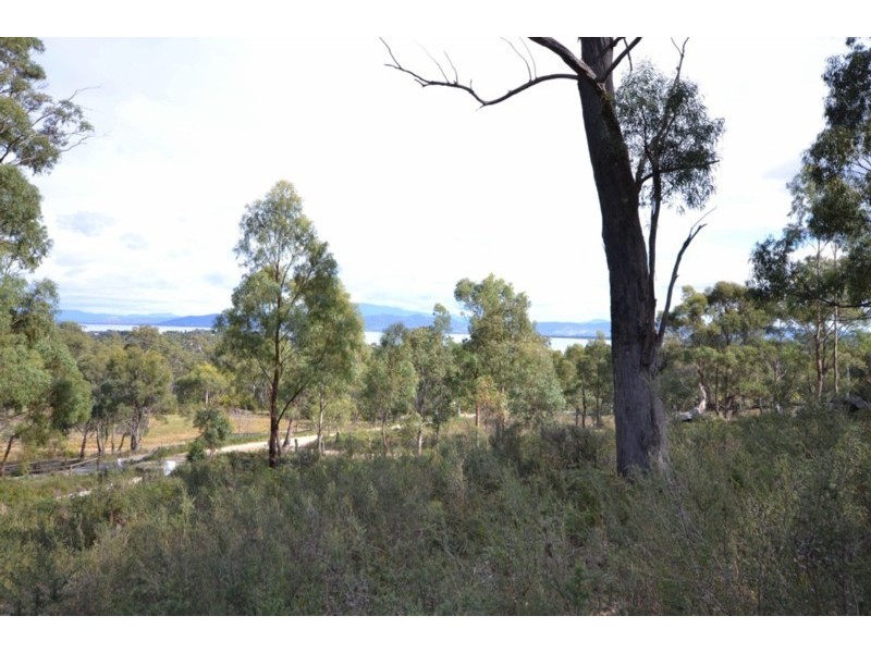 7 Albert Court, Dodges Ferry TAS 7173