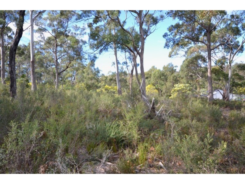 7 Albert Court, Dodges Ferry TAS 7173