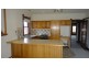 7 Watkins Avenue, West Hobart TAS 7000