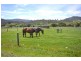 15 Hall Lane, Bagdad TAS 7030