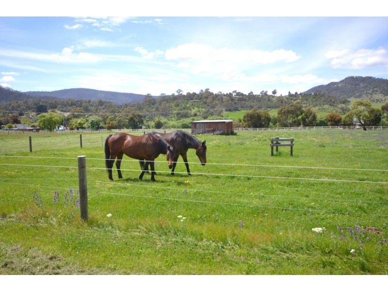 15 Hall Lane, Bagdad TAS 7030