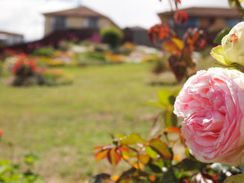 10 Finlay Street, Bridgewater TAS 7030