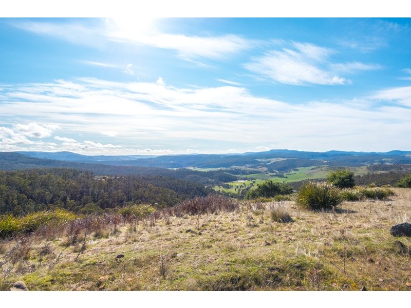 275 Horners Road, Elderslie TAS 7030