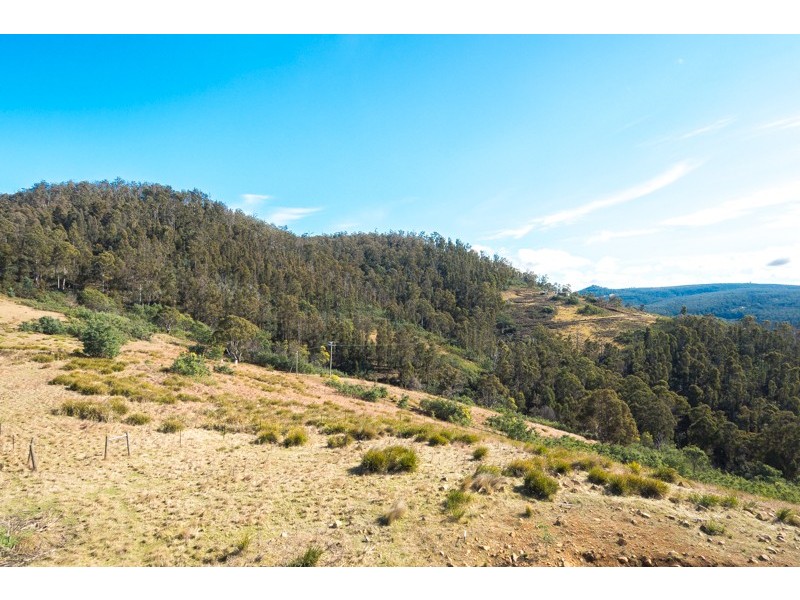 275 Horners Road, Elderslie TAS 7030