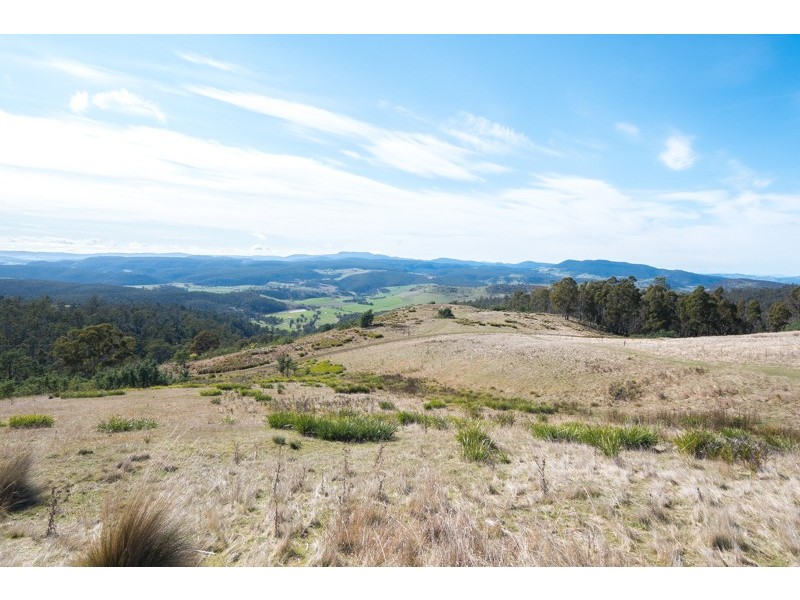 275 Horners Road, Elderslie TAS 7030