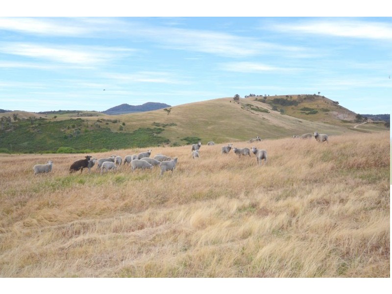 1433 Clifton Vale Road, Dysart TAS 7030