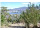 38 Grevillea Avenue, Old Beach TAS 7017