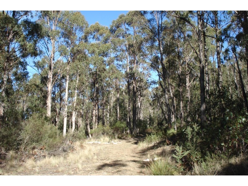 1140 Bluff Road, Elderslie TAS 7030