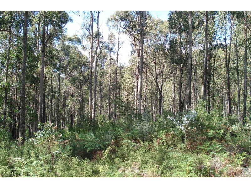 1140 Bluff Road, Elderslie TAS 7030